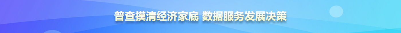 普查摸清经济家底 数据服务发展决策