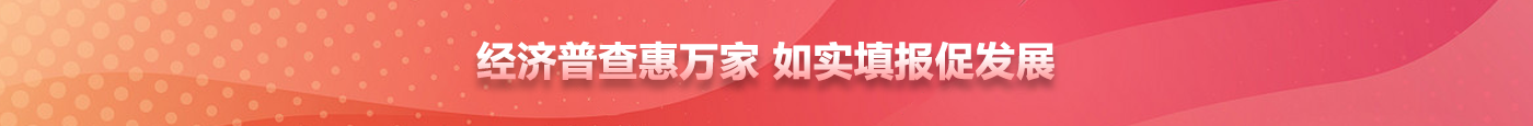 经济普查惠万家 如实填报促发展
