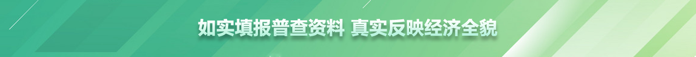 如实填报普查资料 真实反映经济全貌